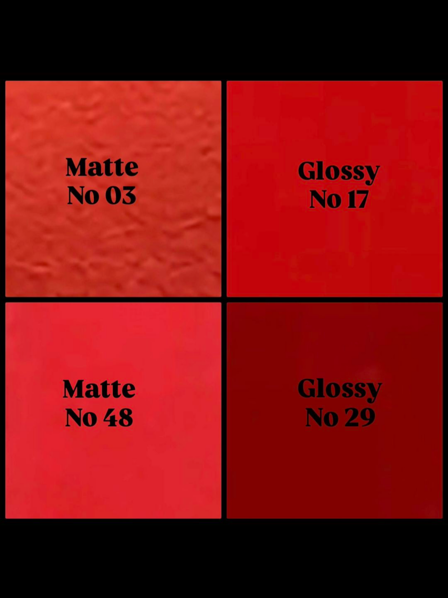 ROUGE À LÈVRES LIQUIDE/LIQUID LIPSTICK/GLOSS